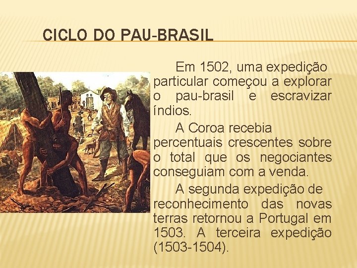 CICLO DO PAU-BRASIL Em 1502, uma expedição particular começou a explorar o pau-brasil e