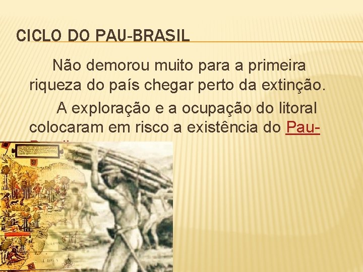 CICLO DO PAU-BRASIL Não demorou muito para a primeira riqueza do país chegar perto