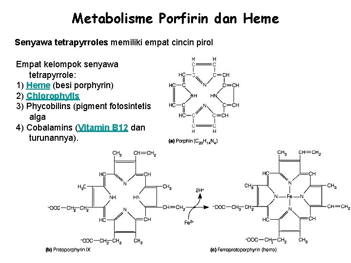 Metabolisme Porfirin dan Heme Senyawa tetrapyrroles memiliki empat cincin pirol Empat kelompok senyawa tetrapyrrole: