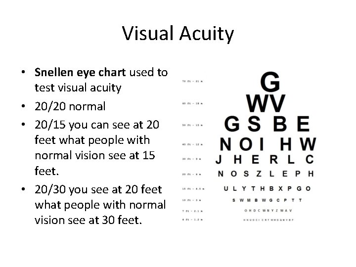 Visual Acuity • Snellen eye chart used to test visual acuity • 20/20 normal