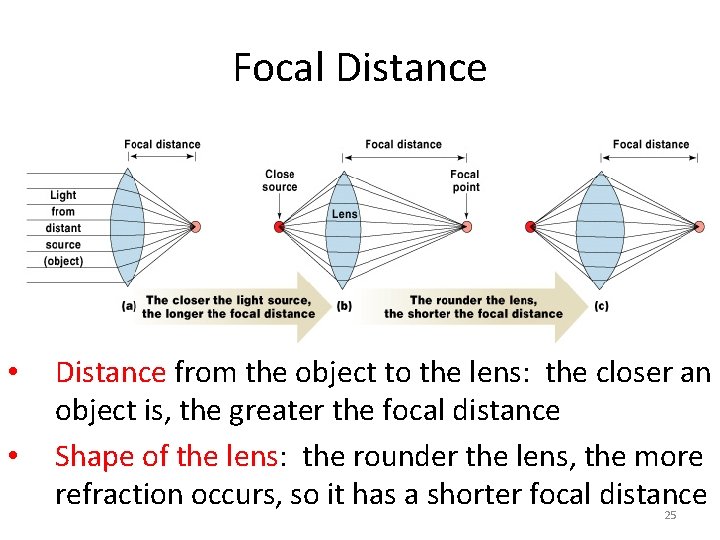 Focal Distance • • Distance from the object to the lens: the closer an