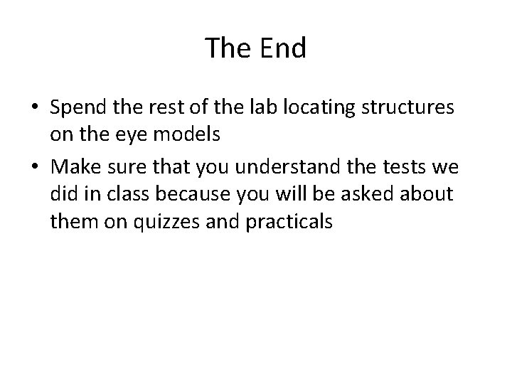 The End • Spend the rest of the lab locating structures on the eye