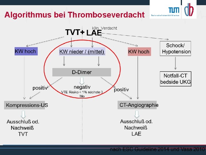 Algorithmus bei Thromboseverdacht Klin. Verdacht 