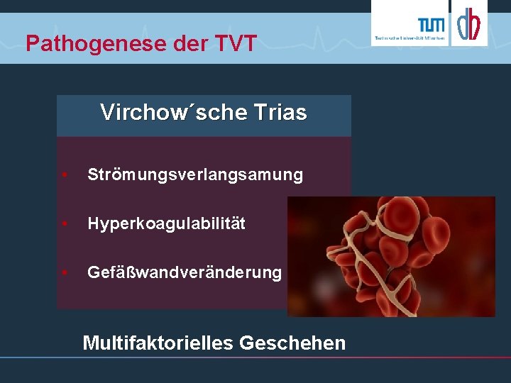 Pathogenese der TVT Virchow´sche Trias • Strömungsverlangsamung • Hyperkoagulabilität • Gefäßwandveränderung Multifaktorielles Geschehen 