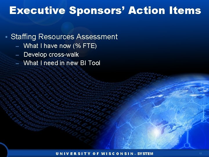 Executive Sponsors’ Action Items • Staffing Resources Assessment – What I have now (%