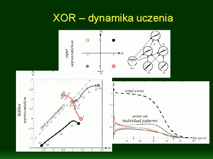 XOR – dynamika uczenia 