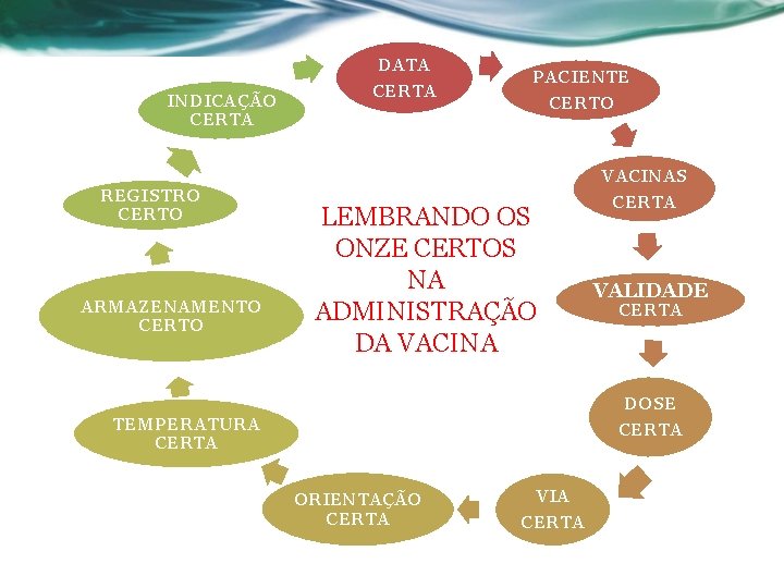 DATA INDICAÇÃO CERTA PACIENTE CERTO VACINAS REGISTRO CERTO ARMAZENAMENTO CERTO LEMBRANDO OS ONZE CERTOS