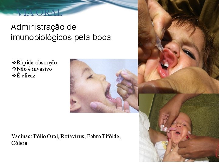 VIA ORAL Administração de imunobiológicos pela boca. v. Rápida absorção v. Não é invasivo