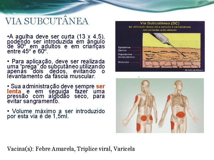 VIA SUBCUT NEA • A agulha deve ser curta (13 x 4, 5), podendo