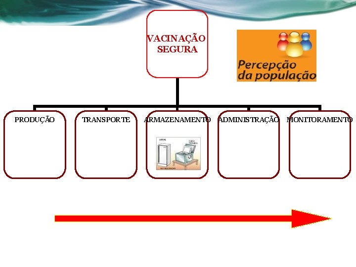 VACINAÇÃO SEGURA PRODUÇÃO TRANSPORTE ARMAZENAMENTO ADMINISTRAÇÃO MONITORAMENTO 