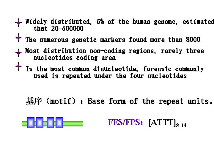 Widely distributed, 5% of the human genome, estimated that 20 -500000 The numerous genetic