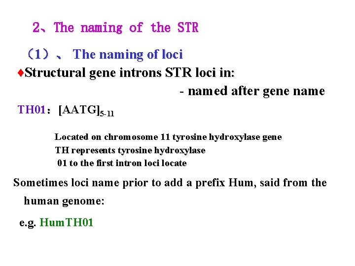 2、The naming of the STR （1）、 The naming of loci ♦Structural gene introns STR