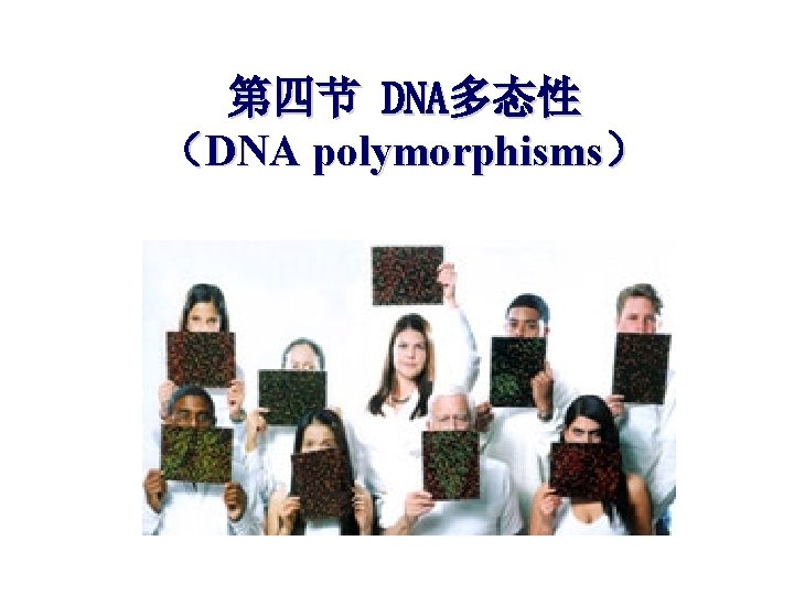 第四节 DNA多态性 （DNA polymorphisms） 