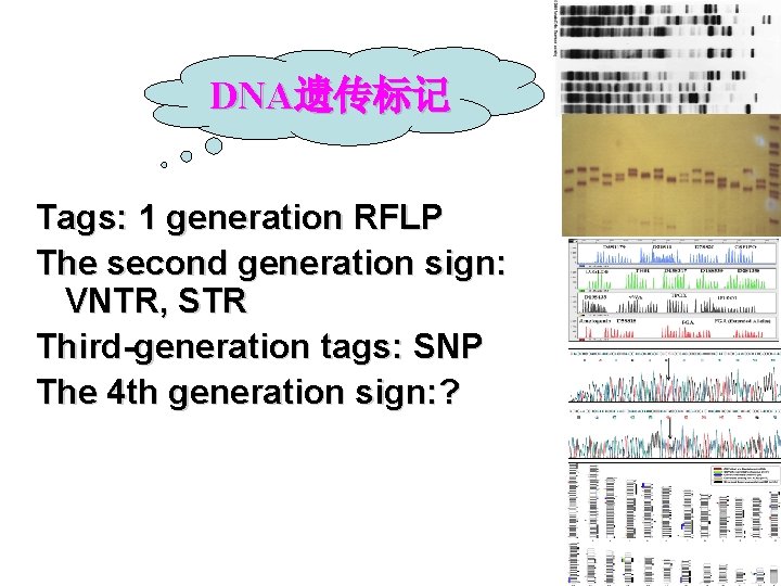 DNA遗传标记 Tags: 1 generation RFLP The second generation sign: VNTR, STR Third-generation tags: SNP
