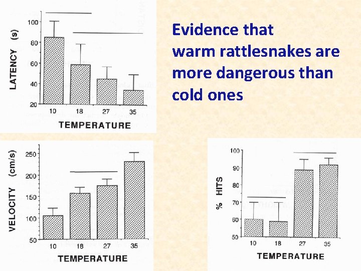 Evidence that warm rattlesnakes are more dangerous than cold ones 