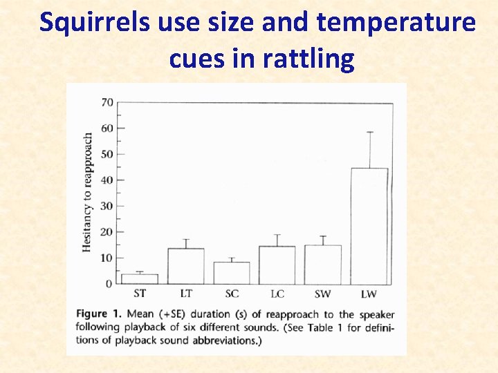 Squirrels use size and temperature cues in rattling 