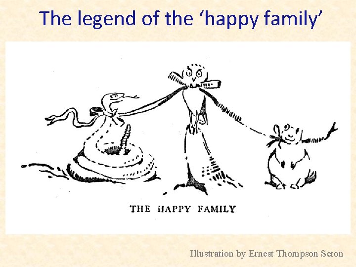 The legend of the ‘happy family’ Illustration by Ernest Thompson Seton 