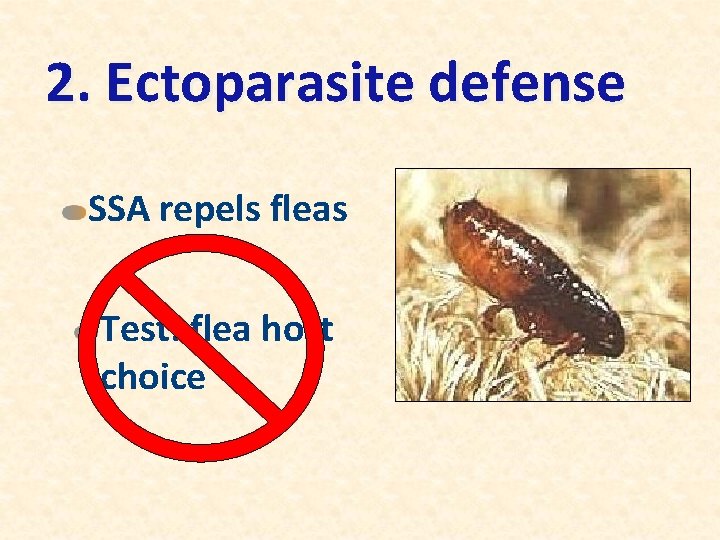 2. Ectoparasite defense SSA repels fleas Test: flea host choice 