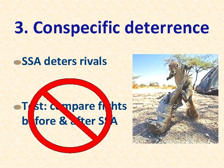 3. Conspecific deterrence SSA deters rivals Test: compare fights before & after SSA 