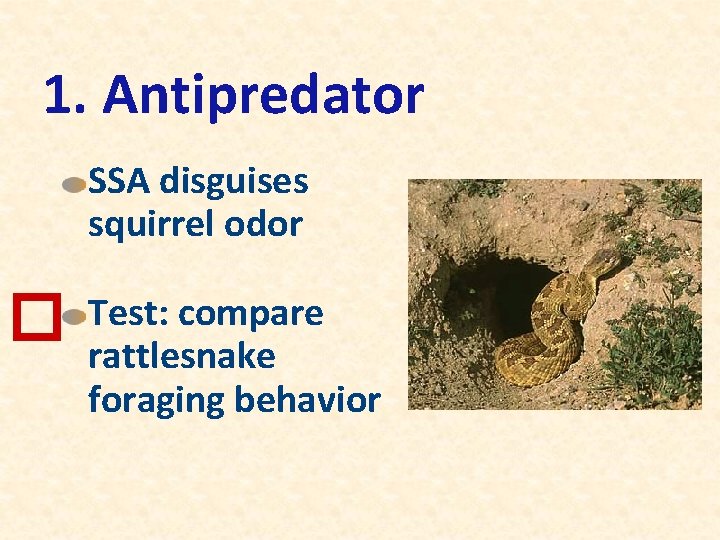 1. Antipredator SSA disguises squirrel odor � Test: compare rattlesnake foraging behavior 