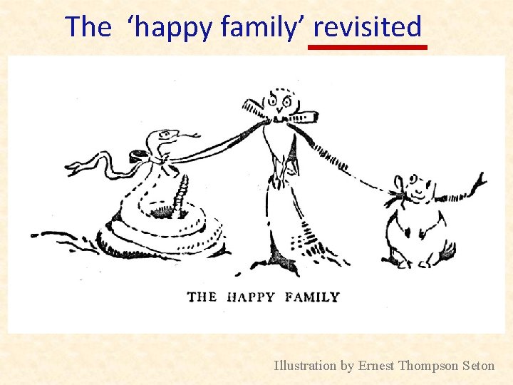 The ‘happy family’ revisited Illustration by Ernest Thompson Seton 