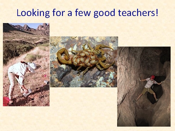Looking for a few good teachers! 