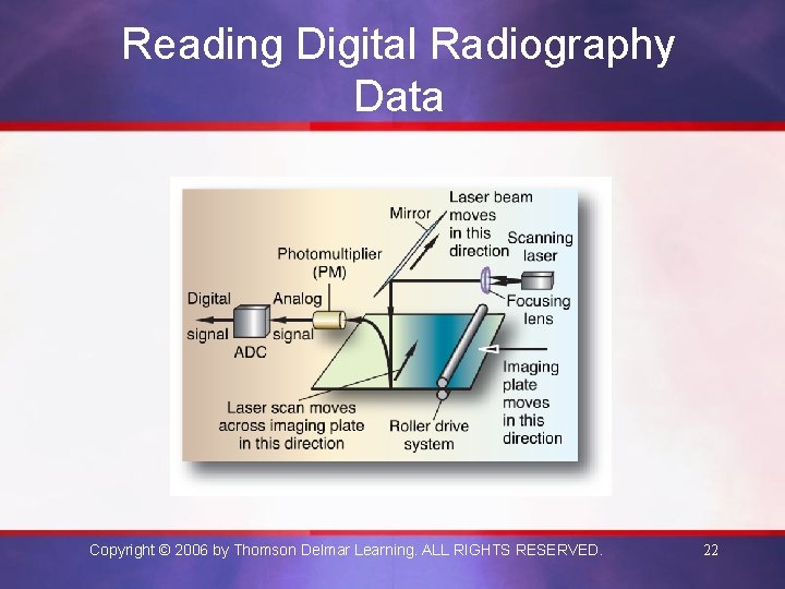 Reading Digital Radiography Data Copyright © 2006 by Thomson Delmar Learning. ALL RIGHTS RESERVED.