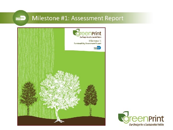 Milestone #1: Assessment Report 14 