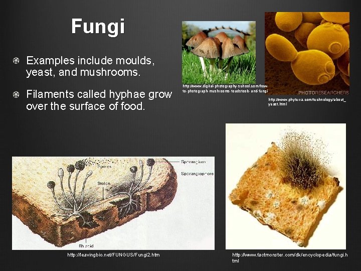 Fungi Examples include moulds, yeast, and mushrooms. Filaments called hyphae grow over the surface