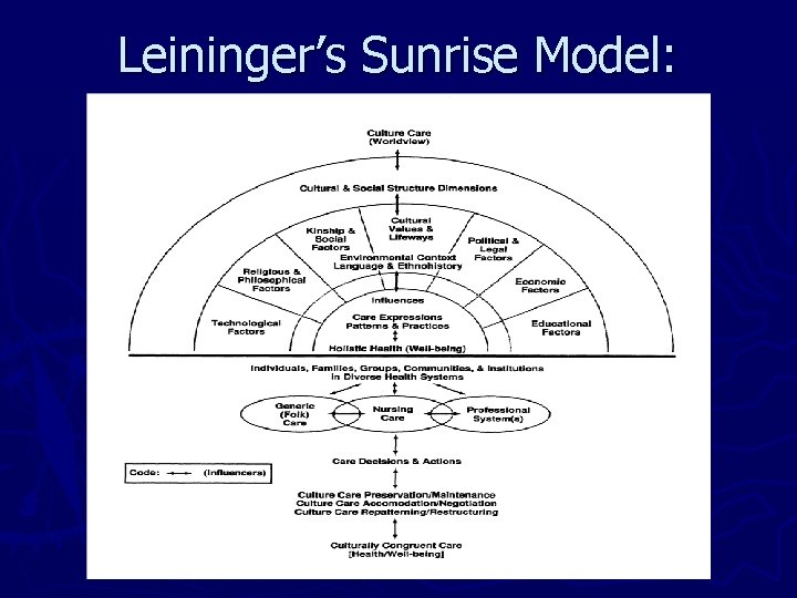 Leininger’s Sunrise Model: 