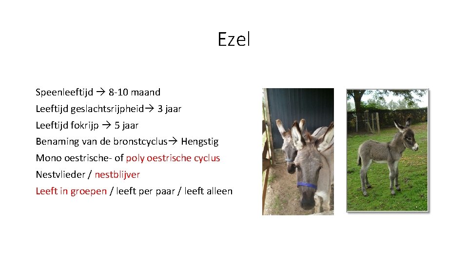 Ezel Speenleeftijd 8 -10 maand Leeftijd geslachtsrijpheid 3 jaar Leeftijd fokrijp 5 jaar Benaming