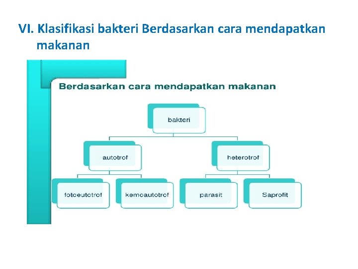 VI. Klasifikasi bakteri Berdasarkan cara mendapatkan makanan 