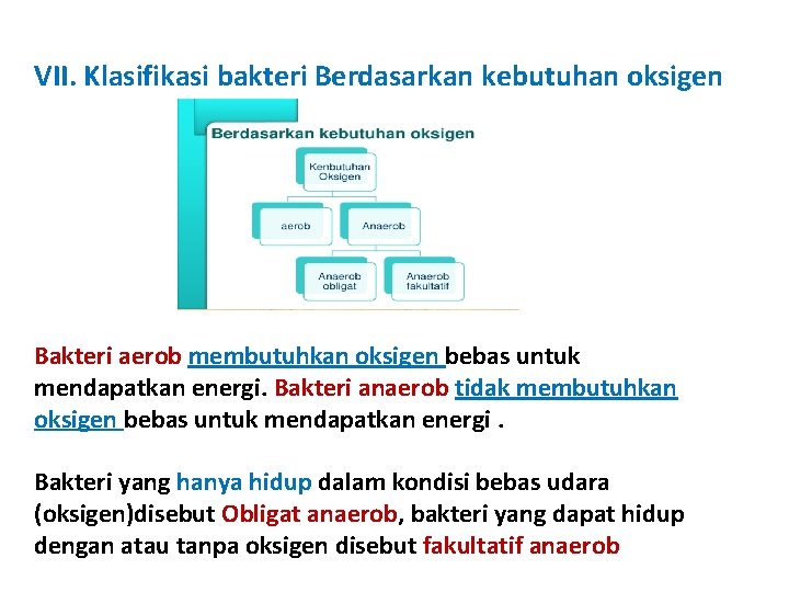 VII. Klasifikasi bakteri Berdasarkan kebutuhan oksigen Bakteri aerob membutuhkan oksigen bebas untuk mendapatkan energi.