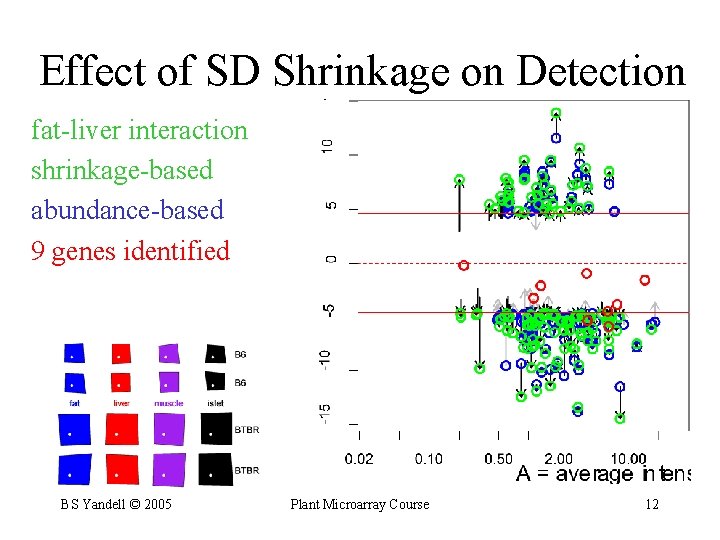 Effect of SD Shrinkage on Detection fat-liver interaction shrinkage-based abundance-based 9 genes identified BS