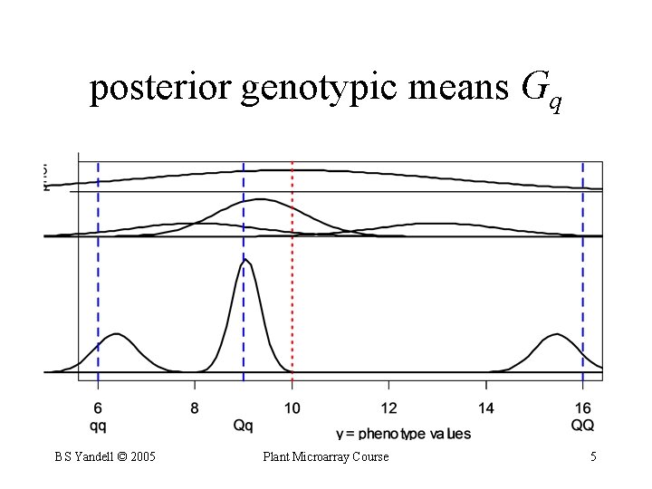 posterior genotypic means Gq BS Yandell © 2005 Plant Microarray Course 5 