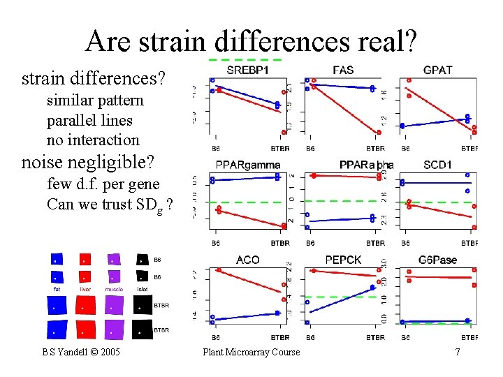 Are strain differences real? strain differences? similar pattern parallel lines no interaction noise negligible?