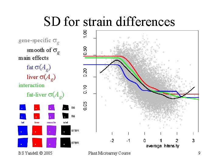 SD for strain differences gene-specific g smooth of g main effects fat (Ag) liver