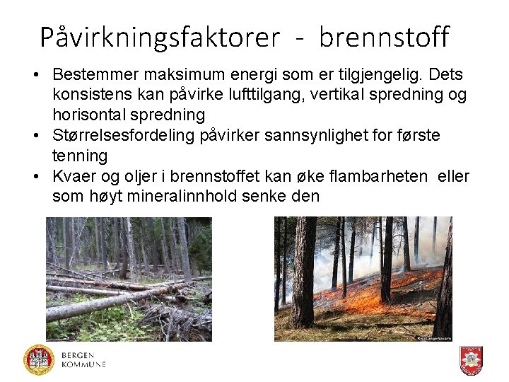 Påvirkningsfaktorer - brennstoff • Bestemmer maksimum energi som er tilgjengelig. Dets konsistens kan påvirke