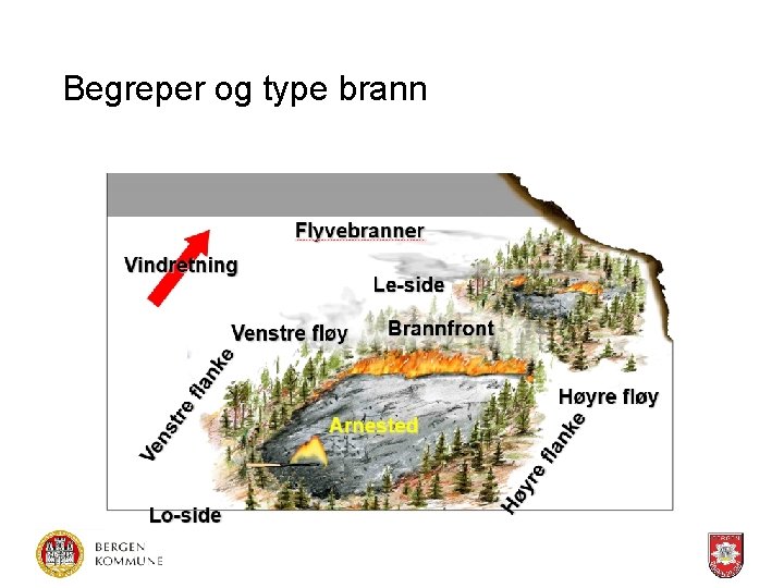 Begreper og type brann 