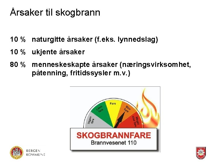 Årsaker til skogbrann 10 % naturgitte årsaker (f. eks. lynnedslag) 10 % ukjente årsaker