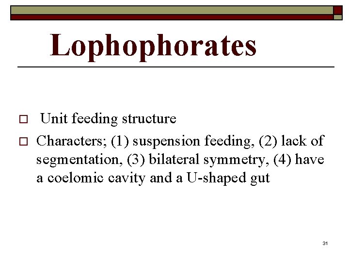 Chapter 7 Marine Animals Without a Backbone II