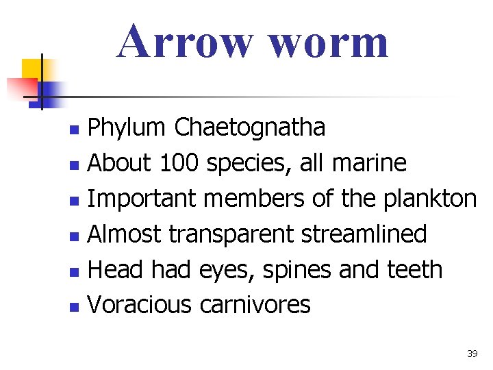 Arrow worm Phylum Chaetognatha n About 100 species, all marine n Important members of