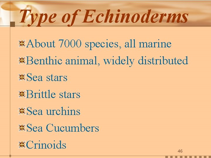 Type of Echinoderms About 7000 species, all marine Benthic animal, widely distributed Sea stars