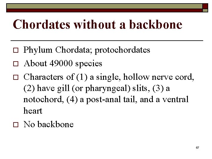 Chordates without a backbone o o Phylum Chordata; protochordates About 49000 species Characters of
