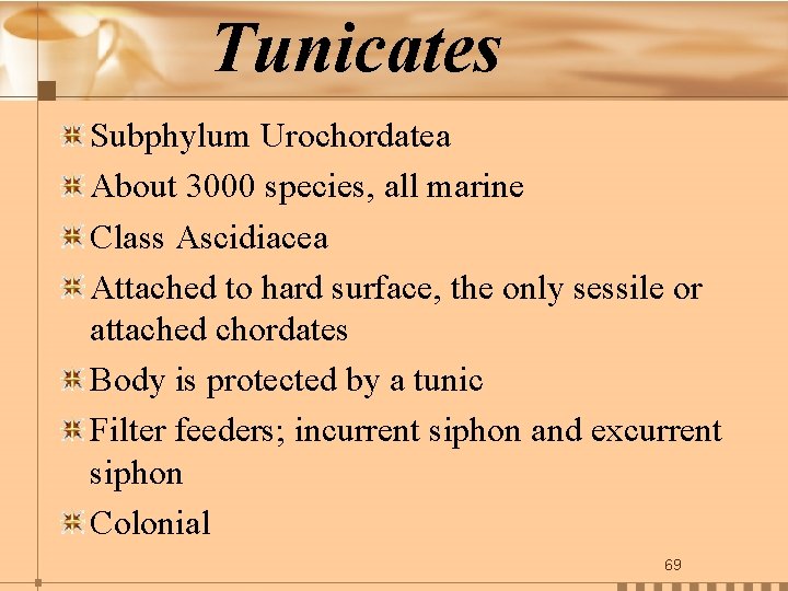 Tunicates Subphylum Urochordatea About 3000 species, all marine Class Ascidiacea Attached to hard surface,