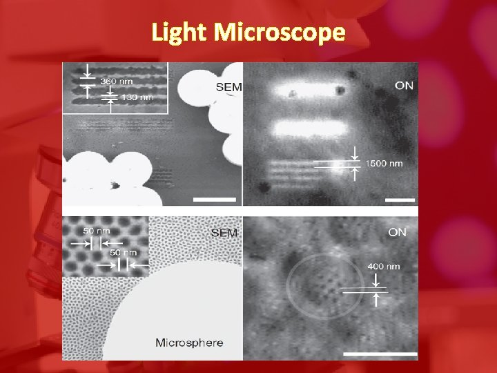 Light Microscope 