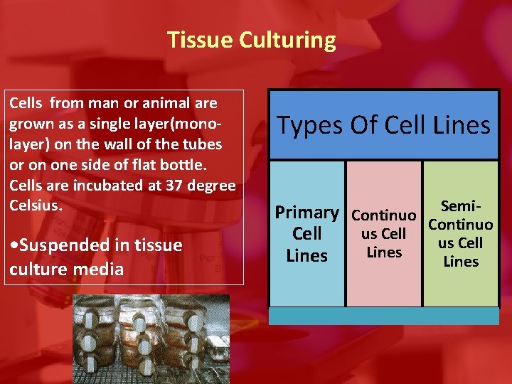 Tissue Culturing Cells from man or animal are grown as a single layer(monolayer) on