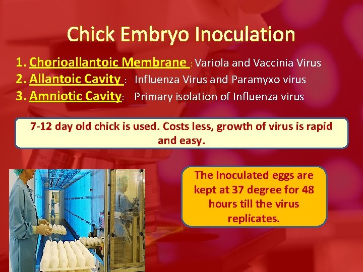 Chick Embryo Inoculation 1. Chorioallantoic Membrane : Variola and Vaccinia Virus 2. Allantoic Cavity