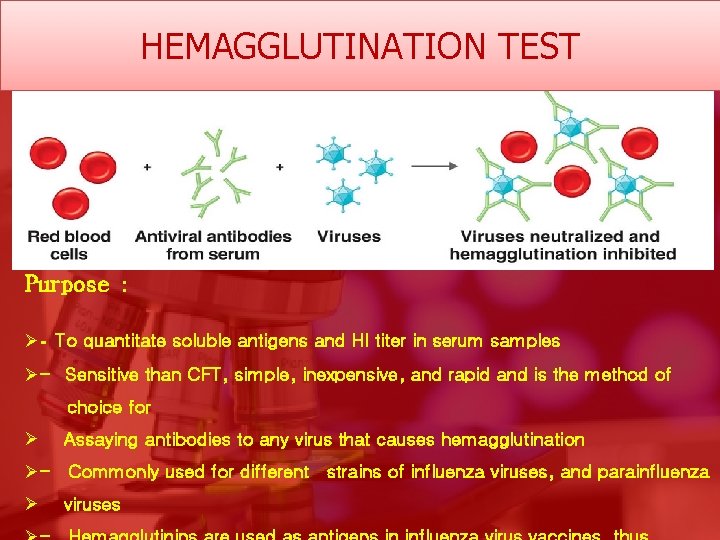 HEMAGGLUTINATION TEST Purpose : Ø- To quantitate soluble antigens and HI titer in serum