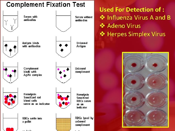 Used For Detection of : v Influenza Virus A and B v Adeno Virus